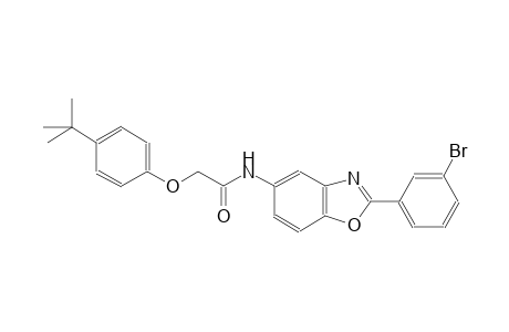 acetamide, N-[2-(3-bromophenyl)-5-benzoxazolyl]-2-[4-(1,1-dimethylethyl)phenoxy]-