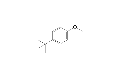 Anisole, p-tert-butyl-