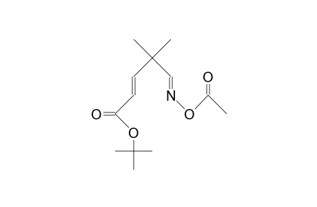 t-Butyl (Z)-N-Acetoxy-4,4-dimethyl-6-azahexa-2,5-dienoate