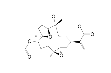 DENDRONPHOLIDE_F