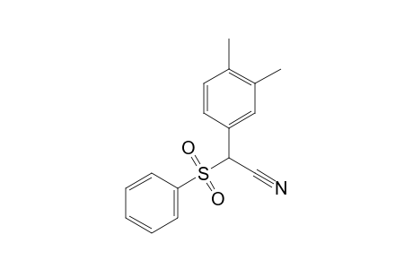 2-(3,4-dimethylphenyl)-2-(phenylsulfonyl)ethanenitrile