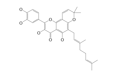 DORSMANIN-C;7,8-(2,2-DIMETHYLCHROMENO)-6-GERANYL-3,5,3',4'-TETRAHYDROXYFLAVONOL