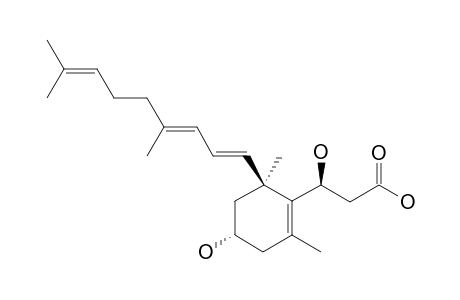 WOODWARDINE;1'E,1''E,3S,3''E,4'R,6'S)-3-[6-(4,8-DIMETHYL-NONA-1,3,7-TRIENYL)-4-HYDROXY-2,6-DIMETHYL-CYCLOHEX-1-ENYL]-3-HYDROXY-PROPIONIC-ACID