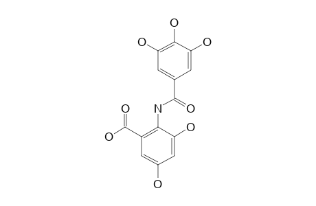 2-[(3,4,5-TRIHYDROXYBENZOYL)-AMINO]-3,5-DIHYDROXYBENZOIC-ACID