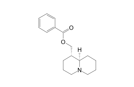 O-BENZOYL-EPILUPININE