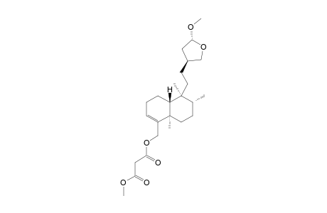 18-METHYLMALONYL-METHYLTRINERACETAL