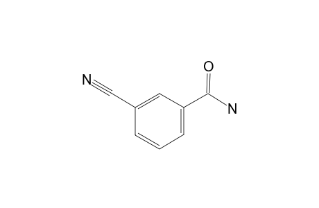 3-AMIDOBENZONITRILE