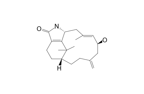 CESPITULACTAM_D