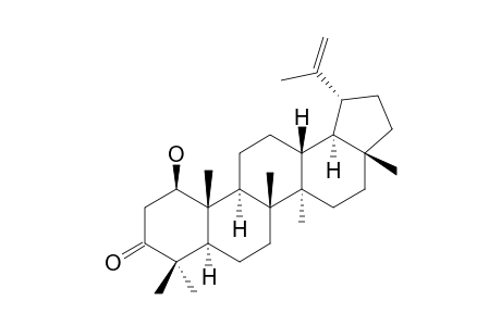 Glochidonol