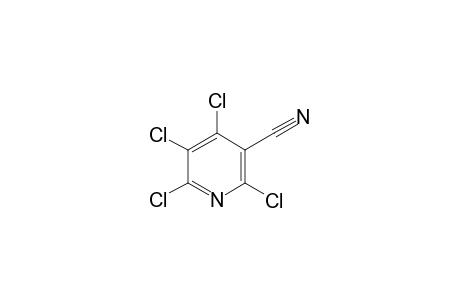 Tetrachloro-3-cyanopyridine