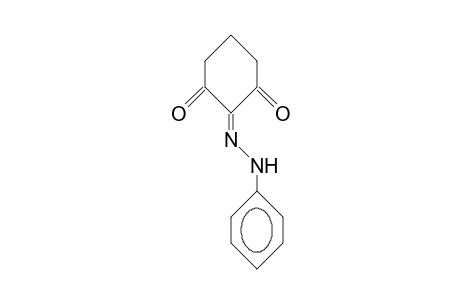 Cyclohexane-1,2,3-trione 2-phenylhydrazone