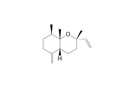 DACTYLOSENE-D