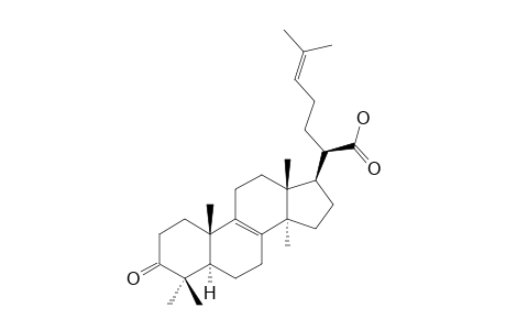 3-OXO-5-ALPHA-LANOSTA-8,24-DIEN-21-OIC-ACID