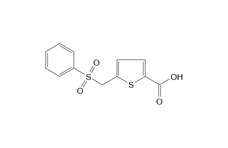 5-[(PHENYLSULFONYL)METHYL]-2-THIOPHENECARBOXYLIC ACID