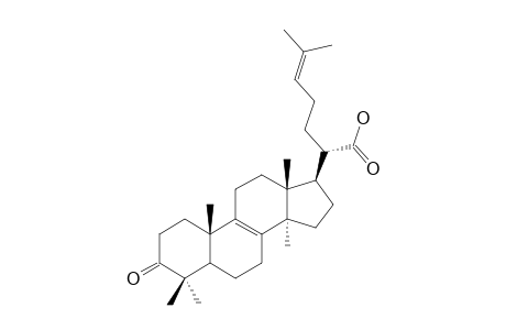 PINICOLIC-ACID-A;3-OXOLANOSTA-8,24-DIEN-21-OIC-ACID