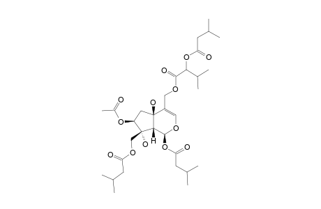 JATAMANVALTRATE-B