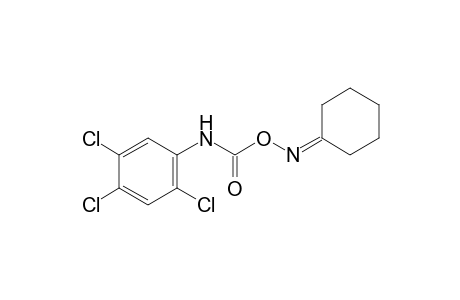 cyclohexanone, O-[(2,4,5-trichlorophenyl)carbamoyl]oxime