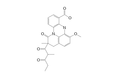 ISOMER_2