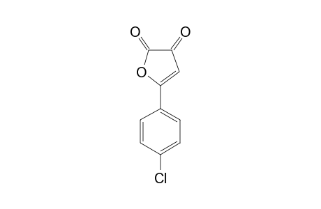 5-(PARACHLOROPHENYL)-FURAN-2,3-DIONE