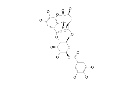 PENTHORUMIN-C