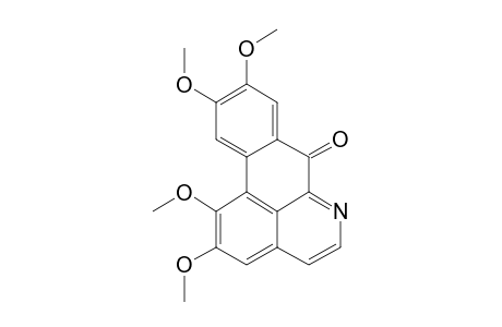 Oxo-glaucine