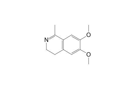 6,7-Dimethoxy-1-methyl-3,4-dihydroisoquinoline