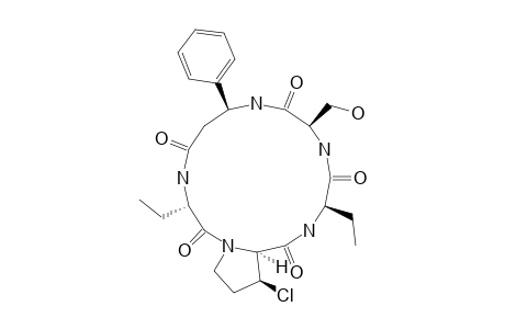 ASTIN-F