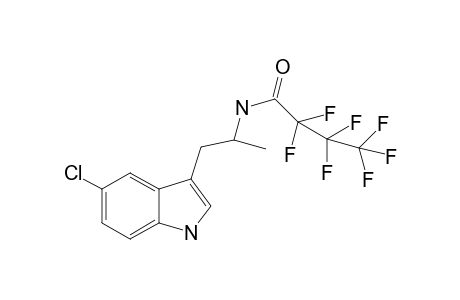 5-Chloro-AMT HFB