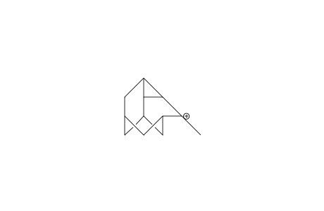 5-Methyl-2,4-dehydro-5-homoadamantyl cation