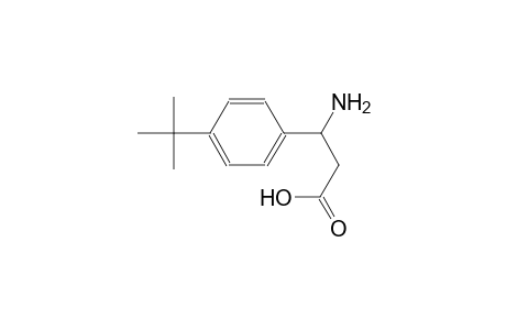 3-Amino-3-(4-tert-butylphenyl)propanoic acid