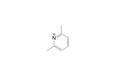 2,6-Dimethylpyridine