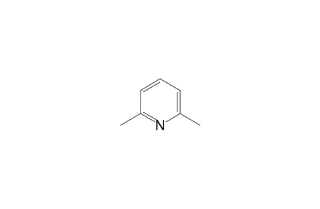 2,6-Lutidine