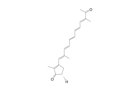 FALCONENSONE-B