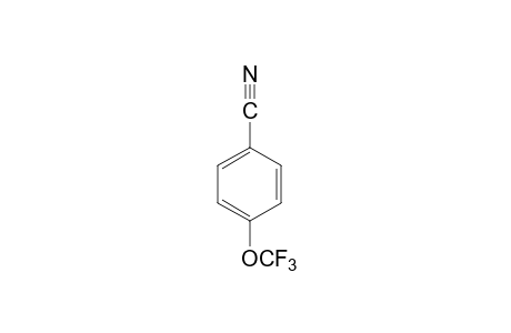 4-Trifluoromethoxy-benzonitrile