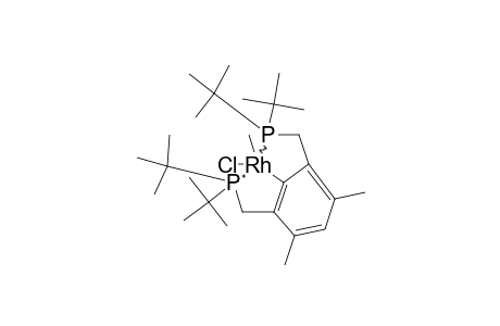 RH(DTBPM)(CH3)CL