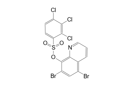 benzenesulfonic acid, 2,3,4-trichloro-, 5,7-dibromo-8-quinolinyl ester