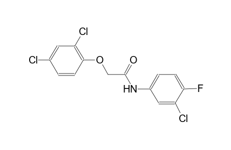 N-(3-chloro-4-fluorophenyl)-2-(2,4-dichlorophenoxy)acetamide