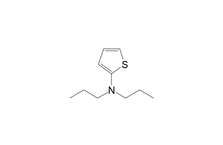 2-N,N-Dipropylaminothiophene