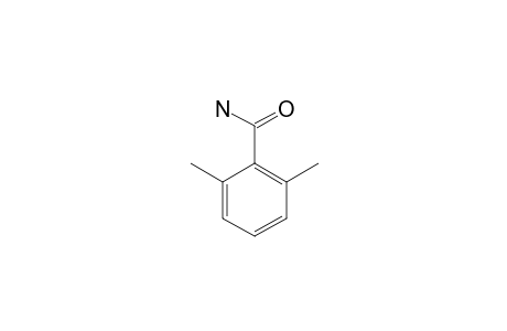 2,6-DIMETHYLBENZAMIDE