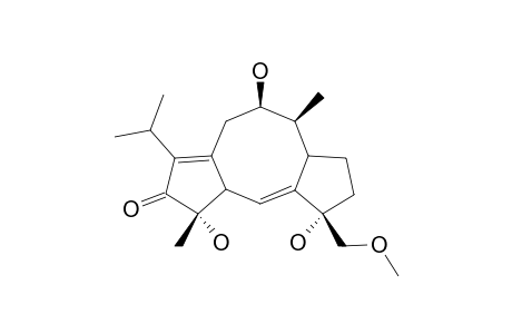 BRASSICICENE-F