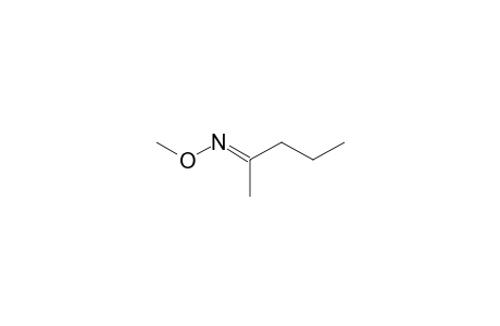 2-Pentanone, O-methyloxime