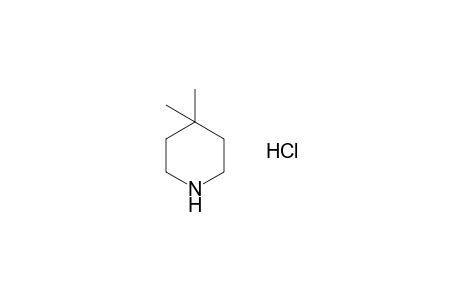 4,4-dimethylpiperidine, hydrochloride