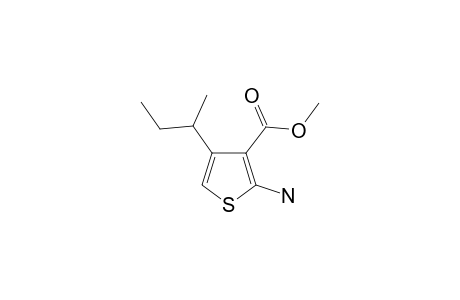 METHYL-(R/S)-2-AMINO-4-(1-METHYLPROPYL)-THIOPHENE-3-CARBOXYLATE