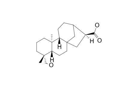 ANNOGLABASIN-E;16-ALPHA-HYDRO-19-OL-ENT-KAURAN-17-OIC-ACID