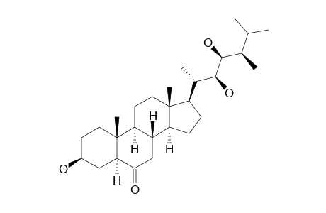 TEASTERONE