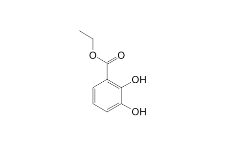 Ethyl 2,3-dihydroxybenzoate