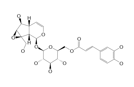 6'-O-CAFFEOYLCATAPOL