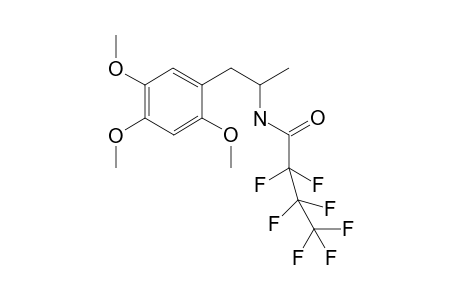 TMA-2 HFB