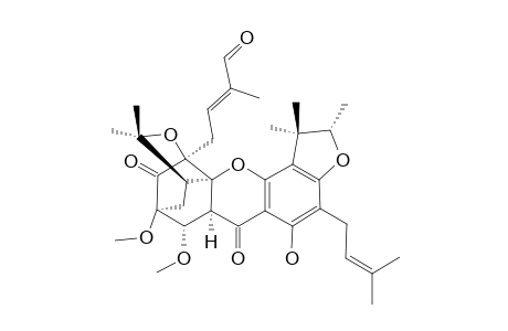 SCORTECHINONE_T