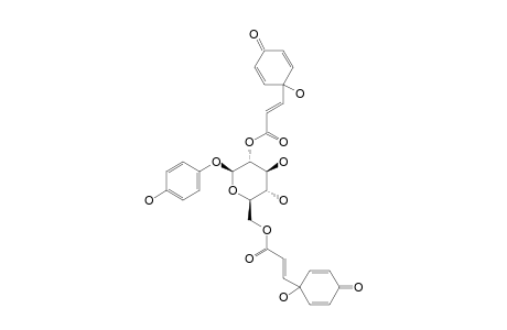 ROBUSTASIDE_G